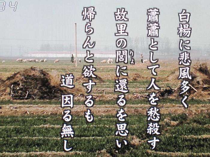 133s.jpg 133s.jpg
